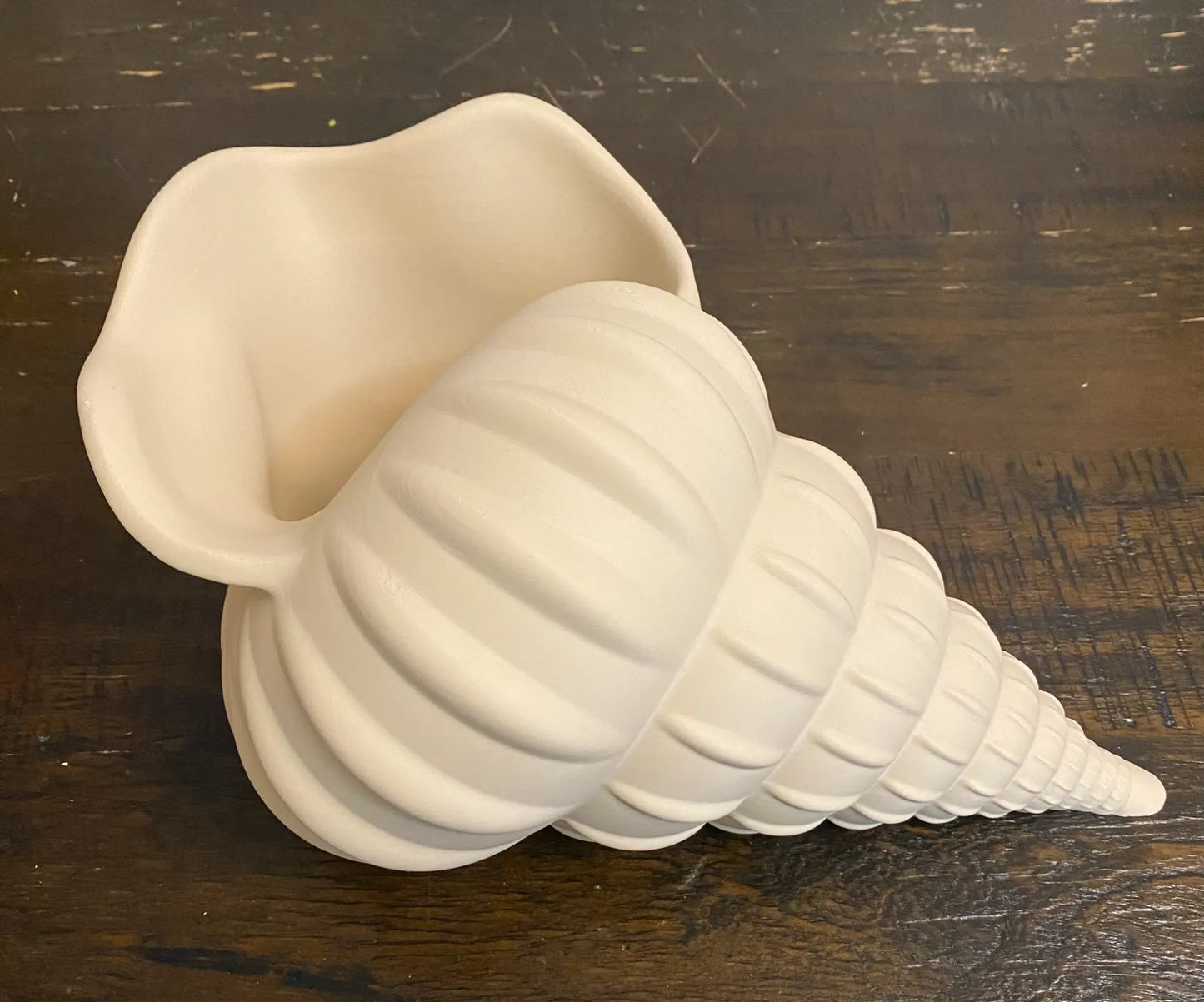 Giant Seashell Planter