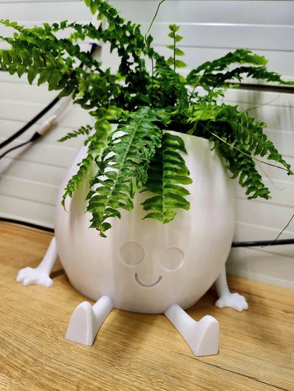 Adorable Happy Planter