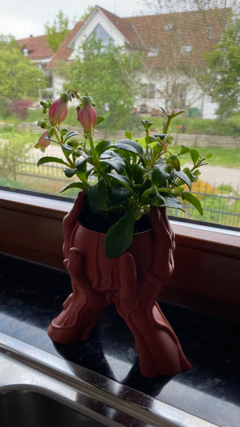 Hands with Roots Planter