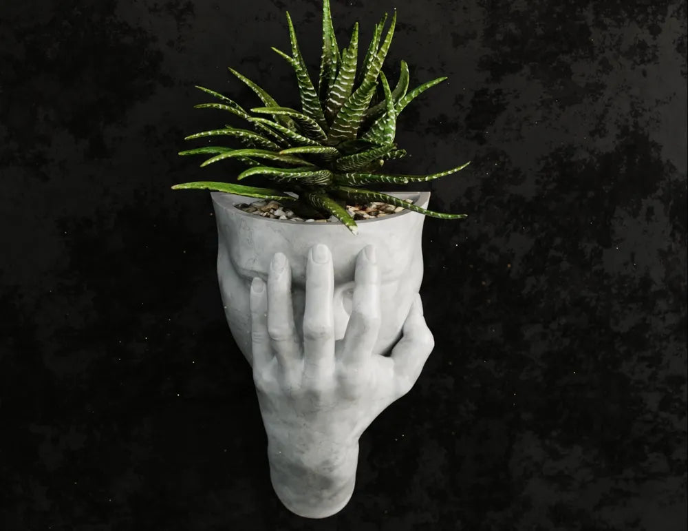 Exasperated Woman Wall Planter