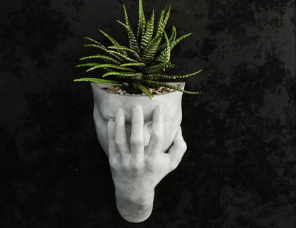 Exasperated Woman Wall Planter