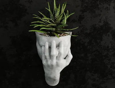 Exasperated Woman Wall Planter