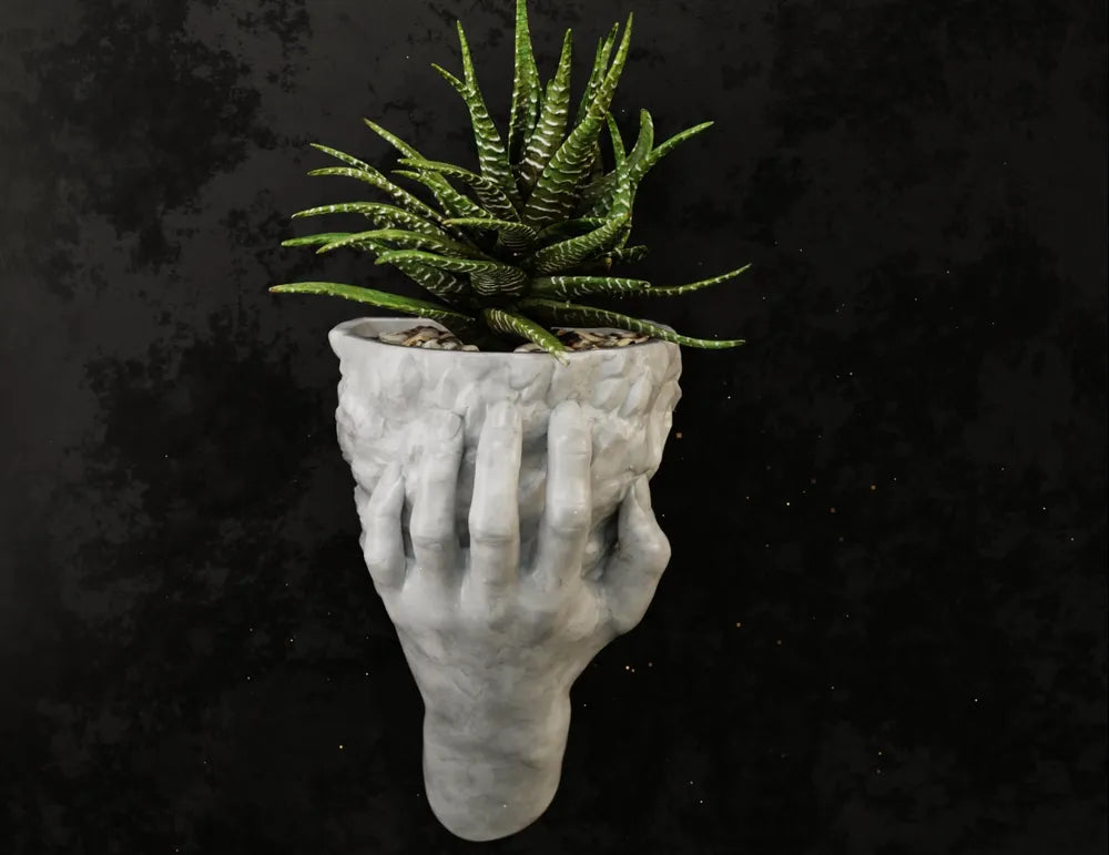 Hand Holding Rock Wall Planter