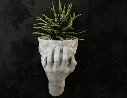 Hand Holding Rock Wall Planter