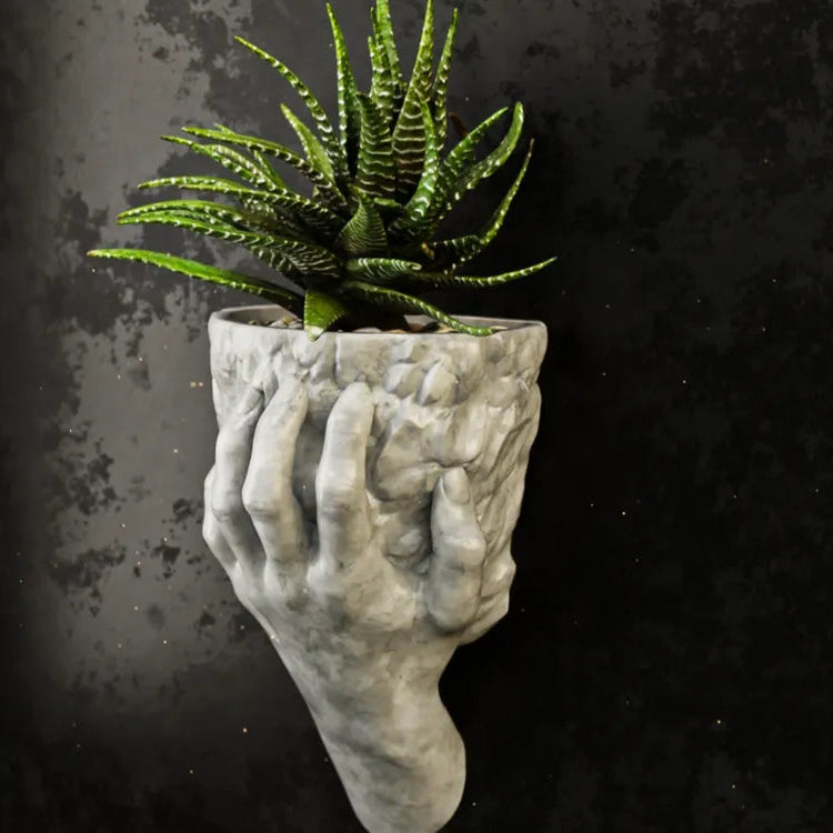 Hand Holding Rock Wall Planter