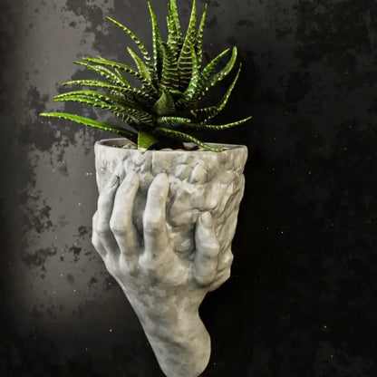 Hand Holding Rock Wall Planter