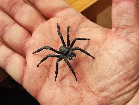 Pack of 20 Realistic Spiders