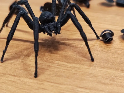 Pack of 20 Realistic Spiders
