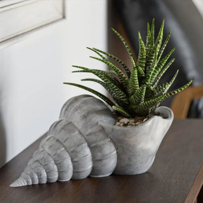 Giant Seashell Planter