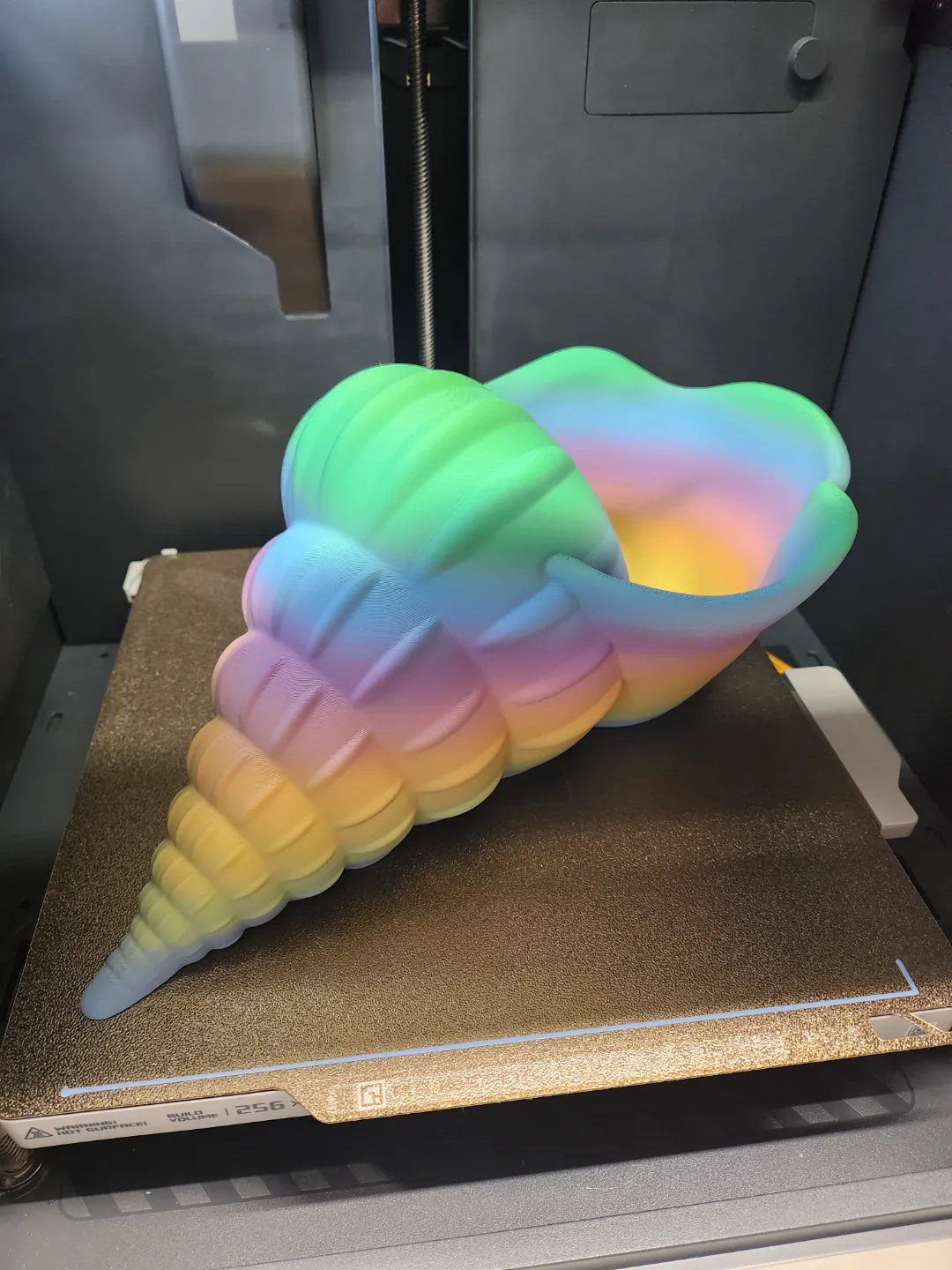 Giant Seashell Planter