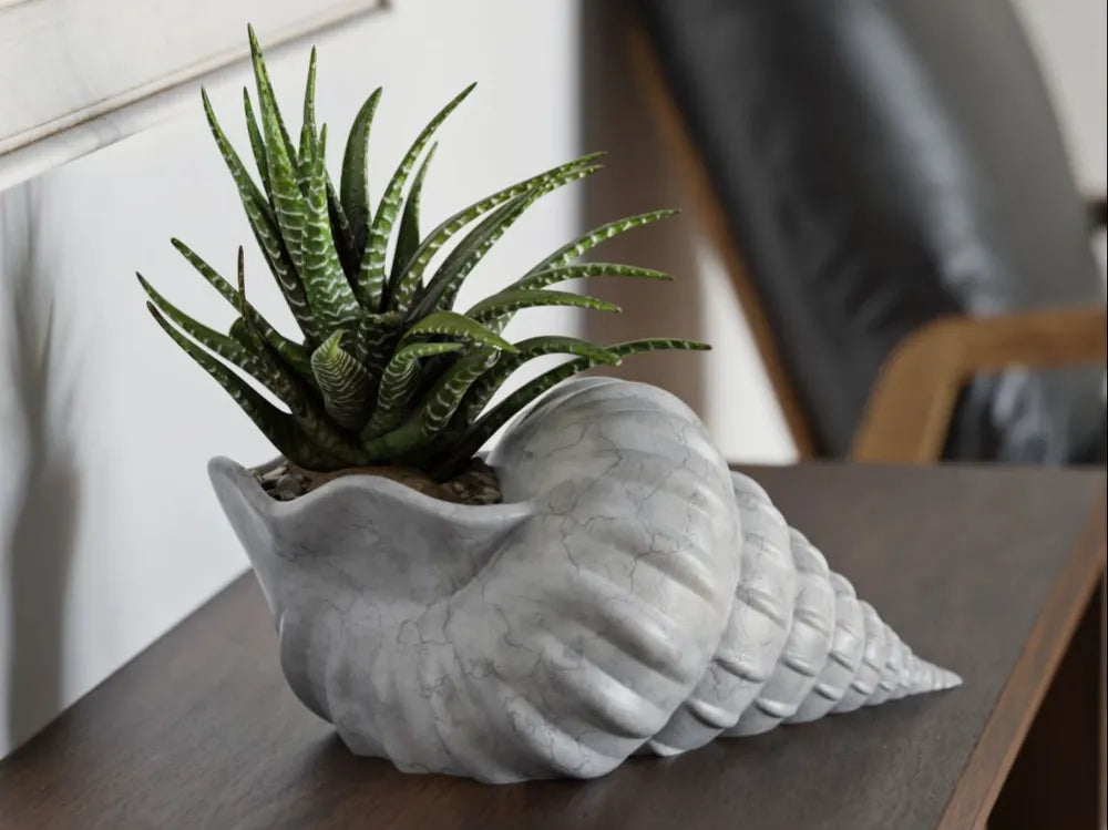 Giant Seashell Planter