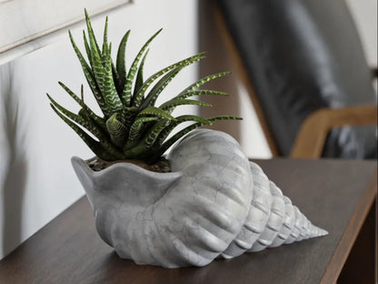 Giant Seashell Planter