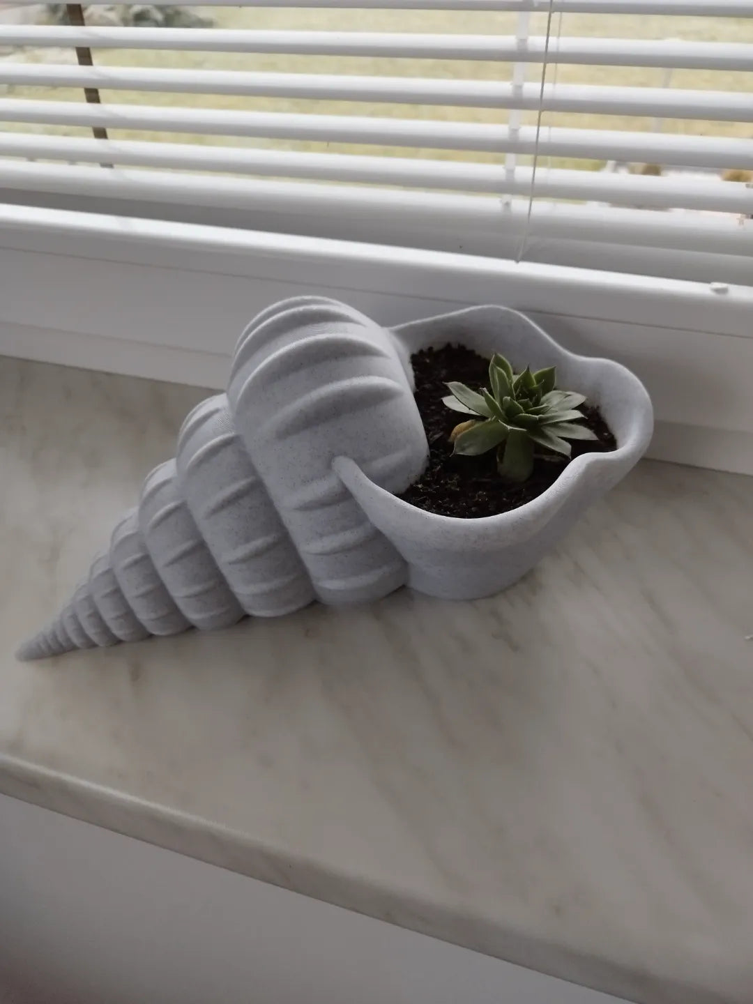 Giant Seashell Planter