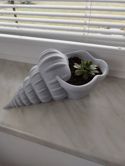 Giant Seashell Planter