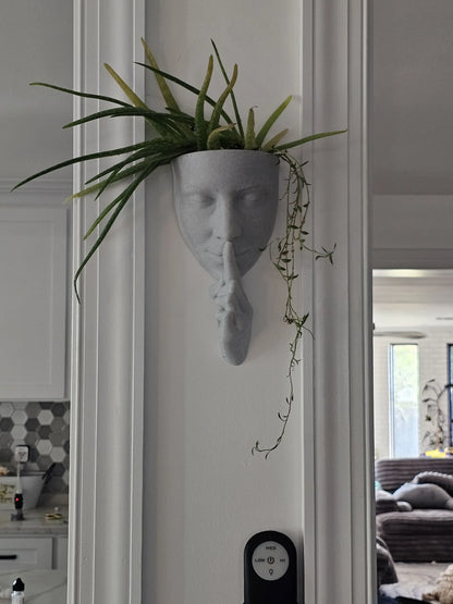 Whisper Wall Planter