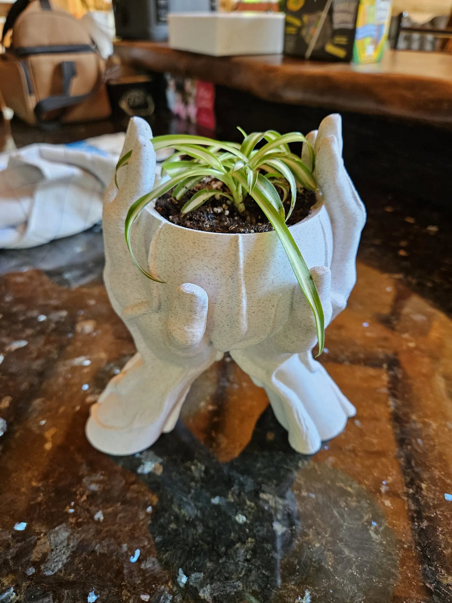 Hands with Roots Planter