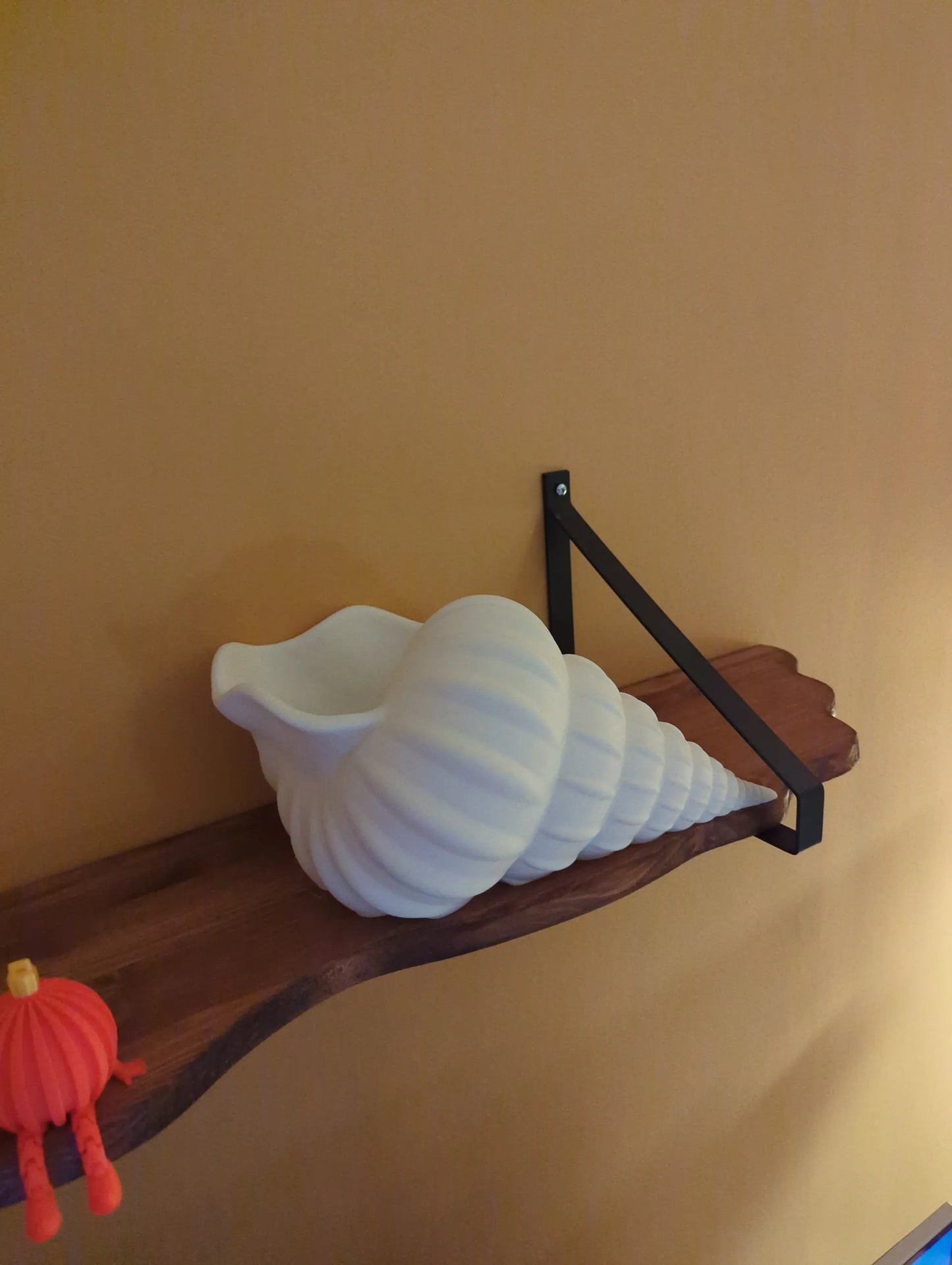Giant Seashell Planter