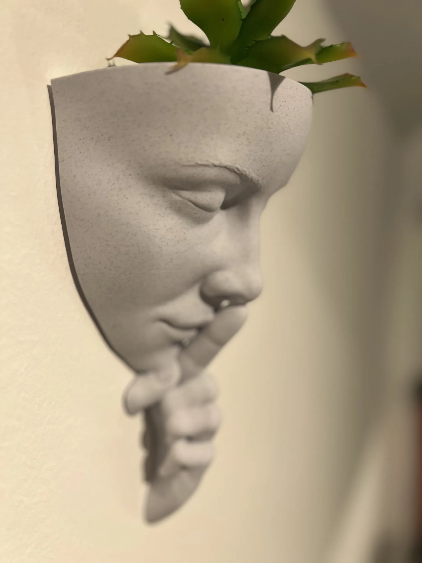 Whisper Wall Planter