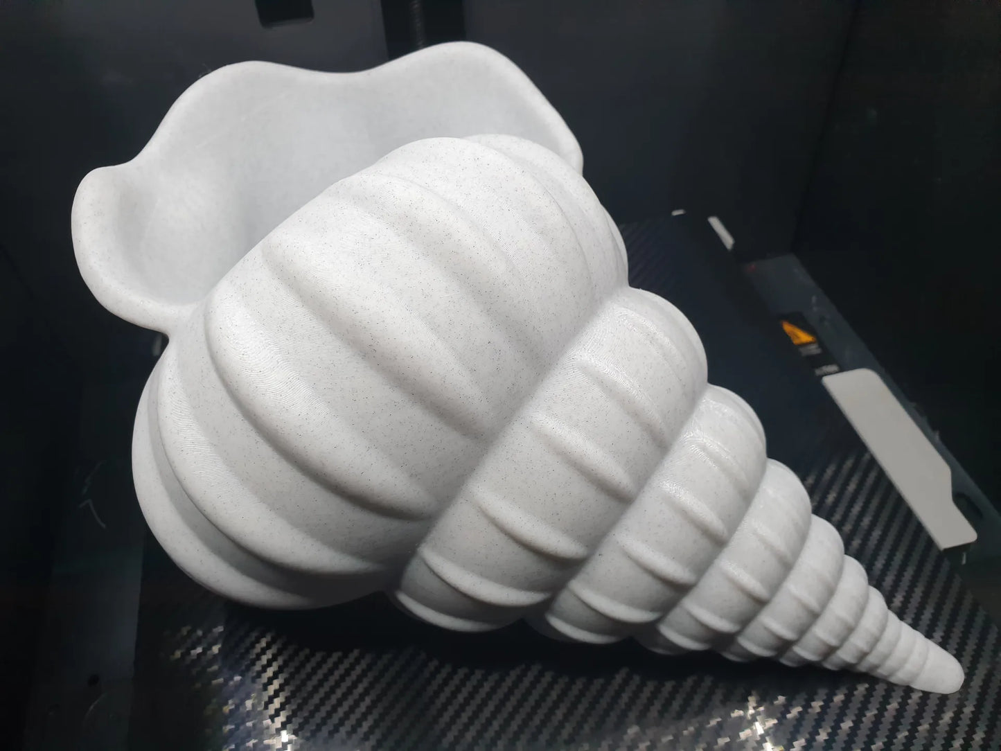 Giant Seashell Planter